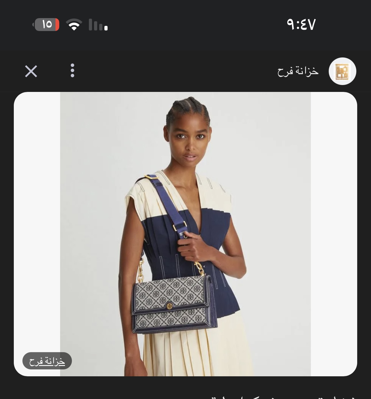 شنطه توري بورش